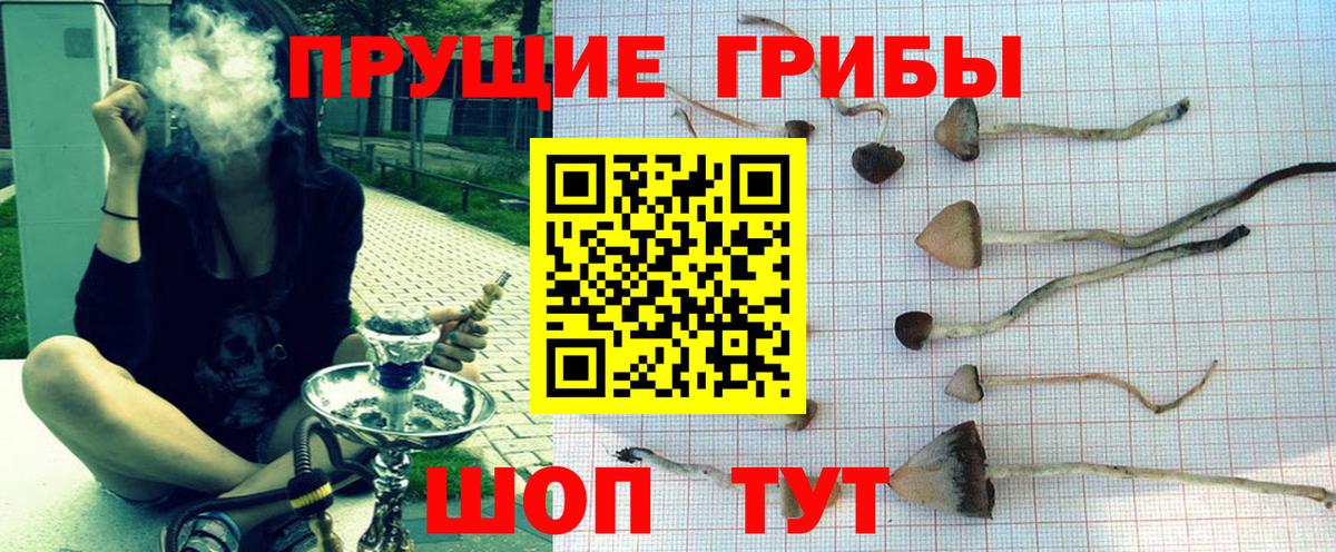 Пушкино  Галлюциногенные грибы GOLDEN TEACHER  Вход с VPN 