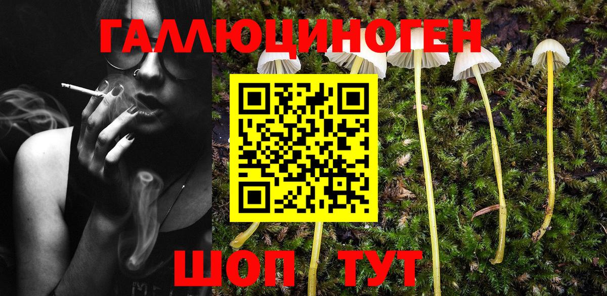 Псилоцибиновые грибы Magic Shrooms Пушкино